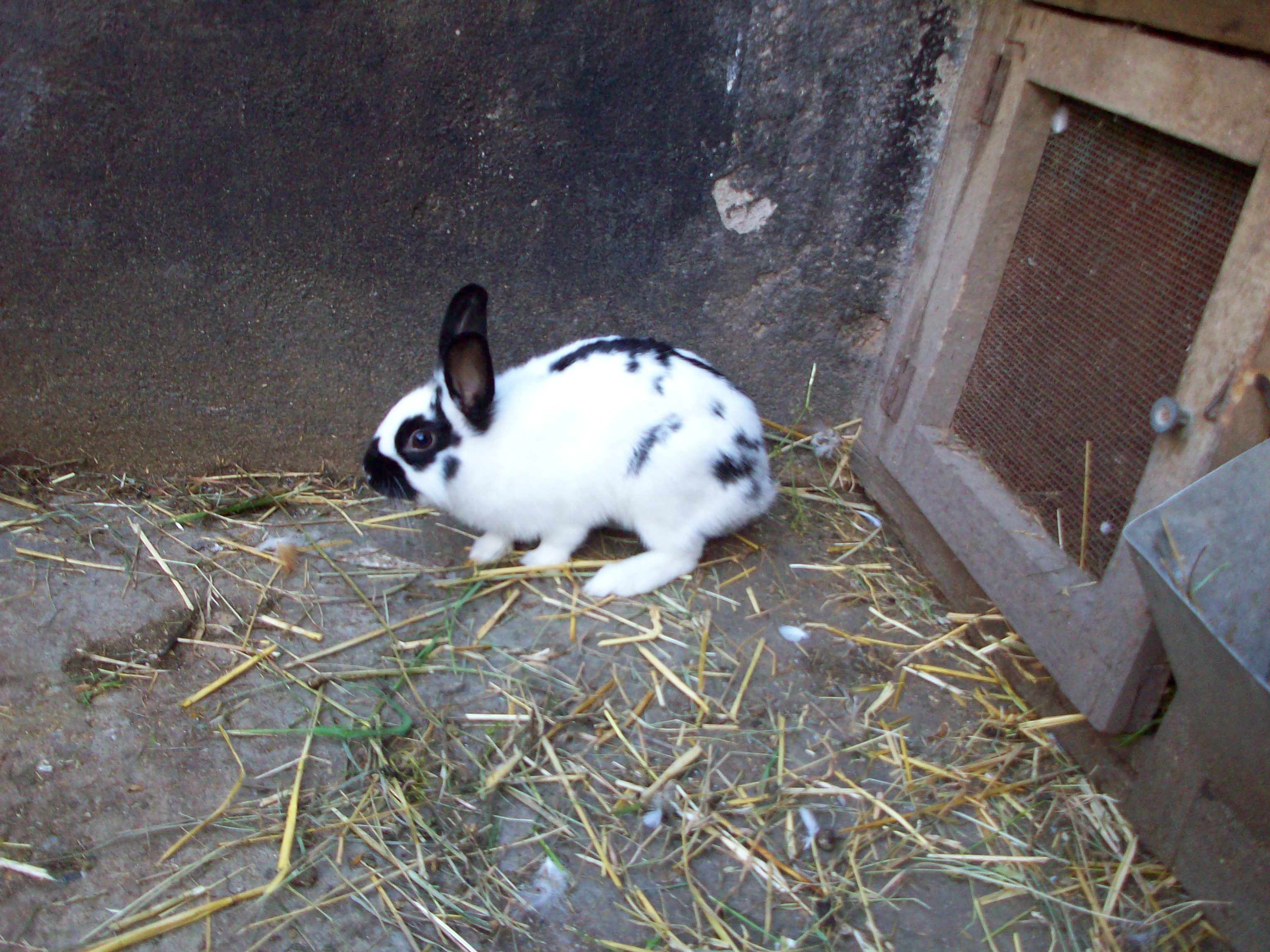 100_0360.jpg