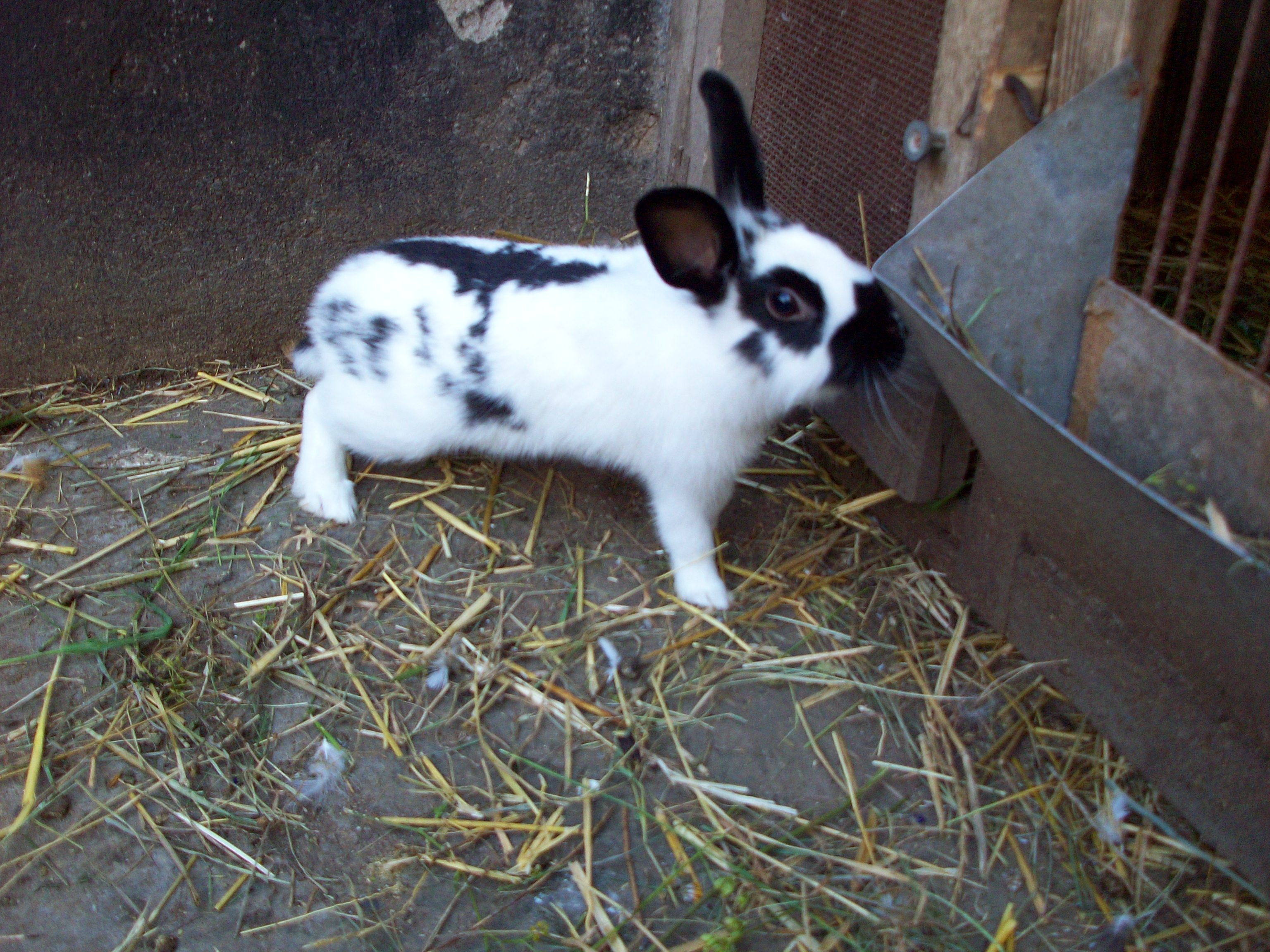 100_0362.jpg